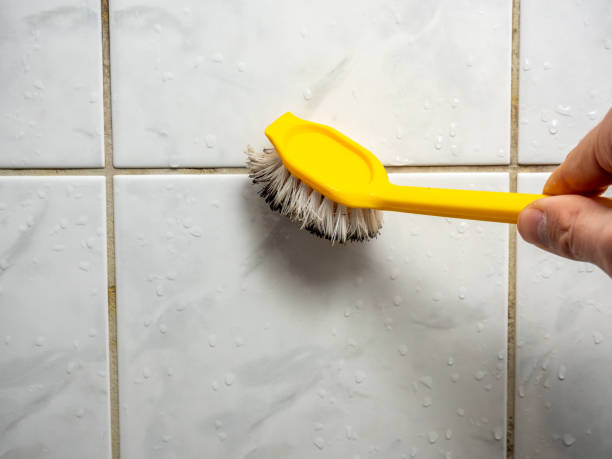 Best Mold Cleaning Services  in Bayboro, NC