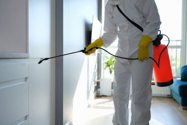 Best Mold Testing  in Bayboro, NC