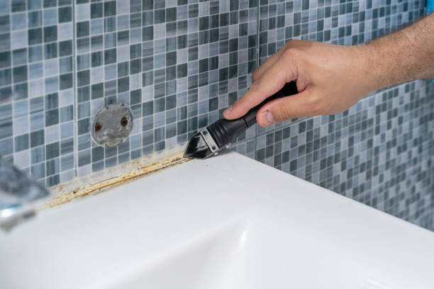 Best Mold Removal Company Near Me  in Bayboro, NC