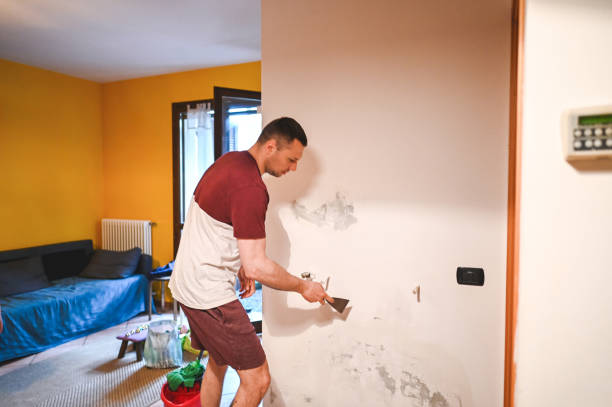 Best Fast Mold Removal  in Bayboro, NC